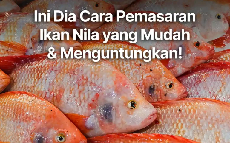 pemasaran ikan nila