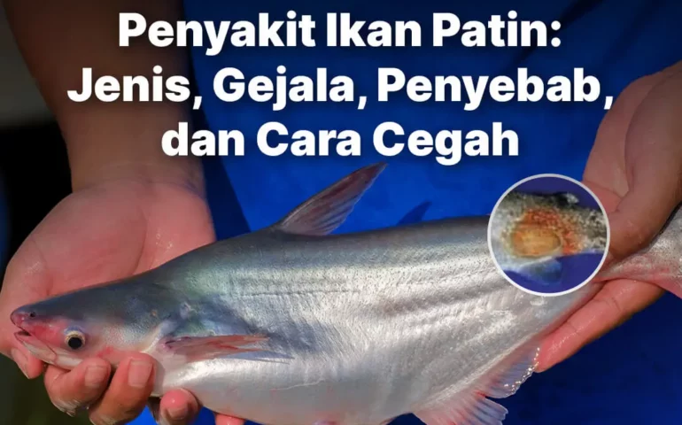 penyakit ikan patin