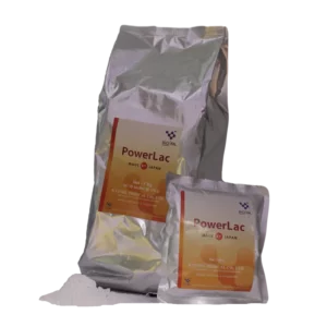 probiotik udang powerlac