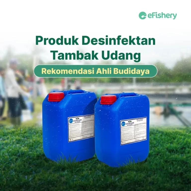 produk disinfektan tambak udang