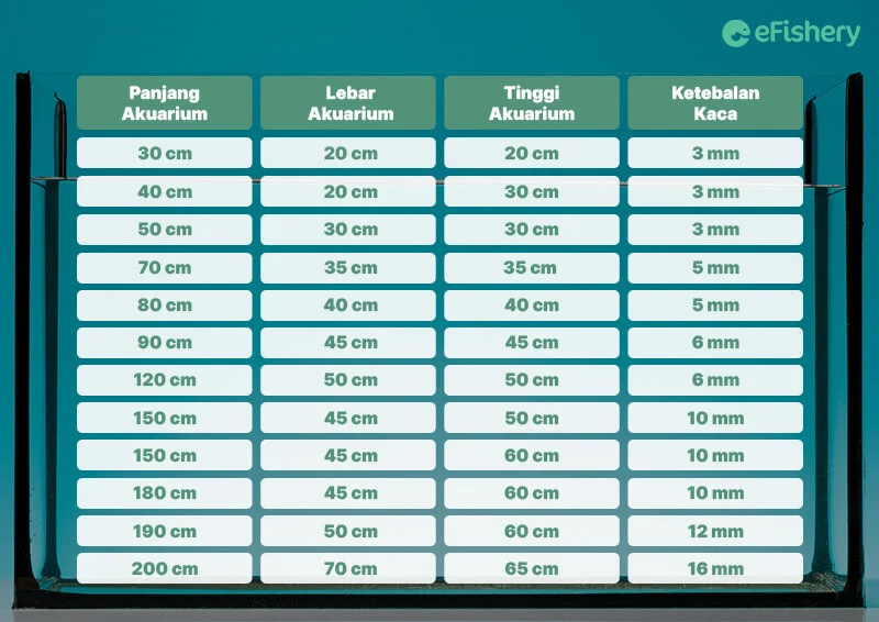 tabel ukuran akuarium dan tebal kaca