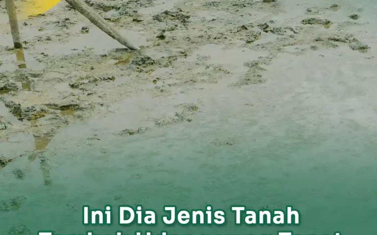 jenis tanah tambak udang