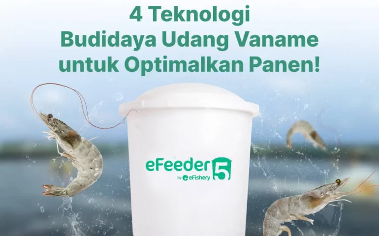 teknologi budidaya udang vaname untuk optimalkan panen