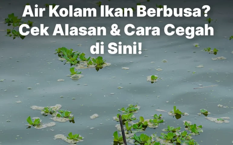 air kolam berbusa