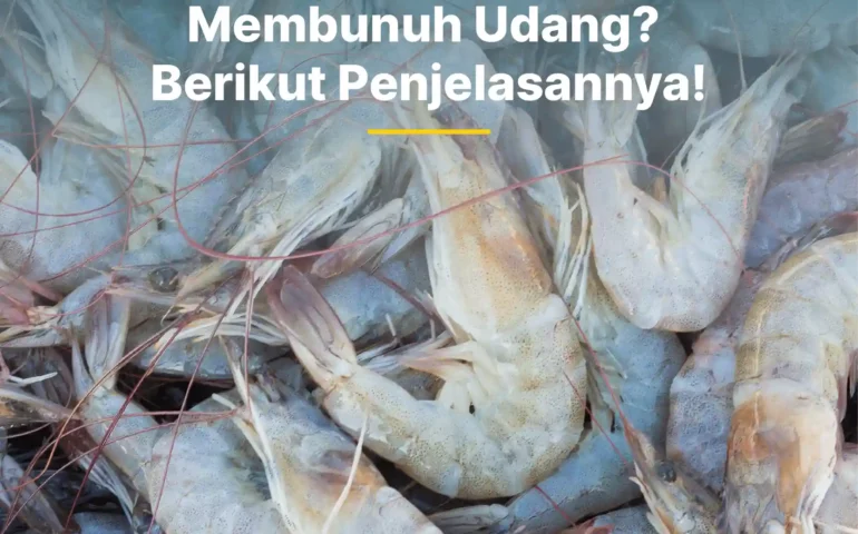 apakah saponin membunuh udang