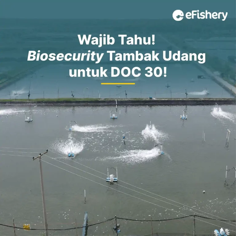 biosecurity tambak udang doc 30