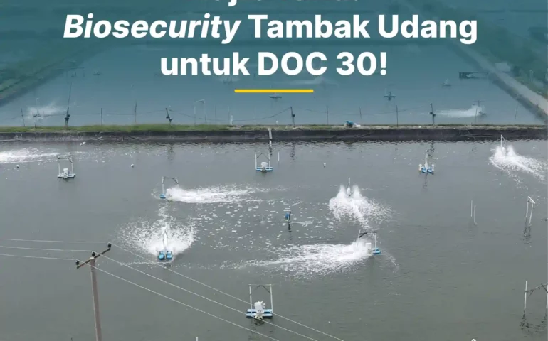 biosecurity tambak udang doc 30