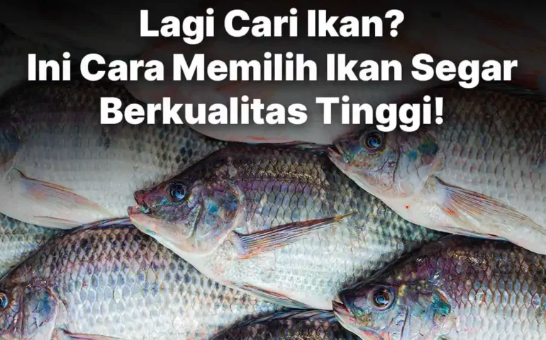 cara memilih ikan segar