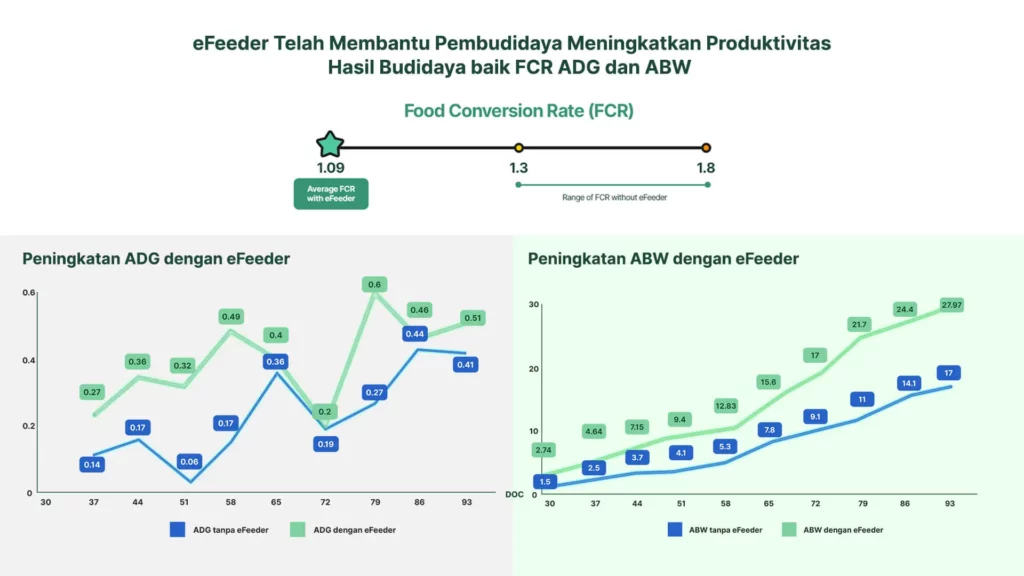 efeeder telah membantu pembudidaya meningkatkan produktivitas hasil budidaya