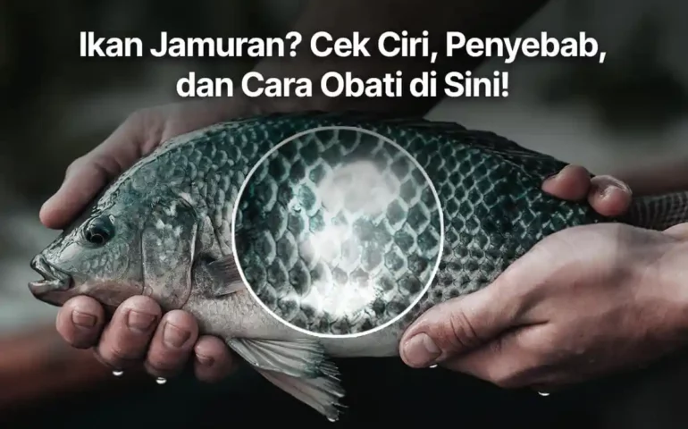 ikan jamuran