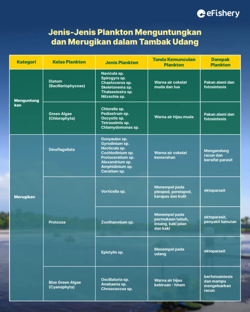 jenis jenis plankton menguntungkan dan merugikan dalam tambak udang