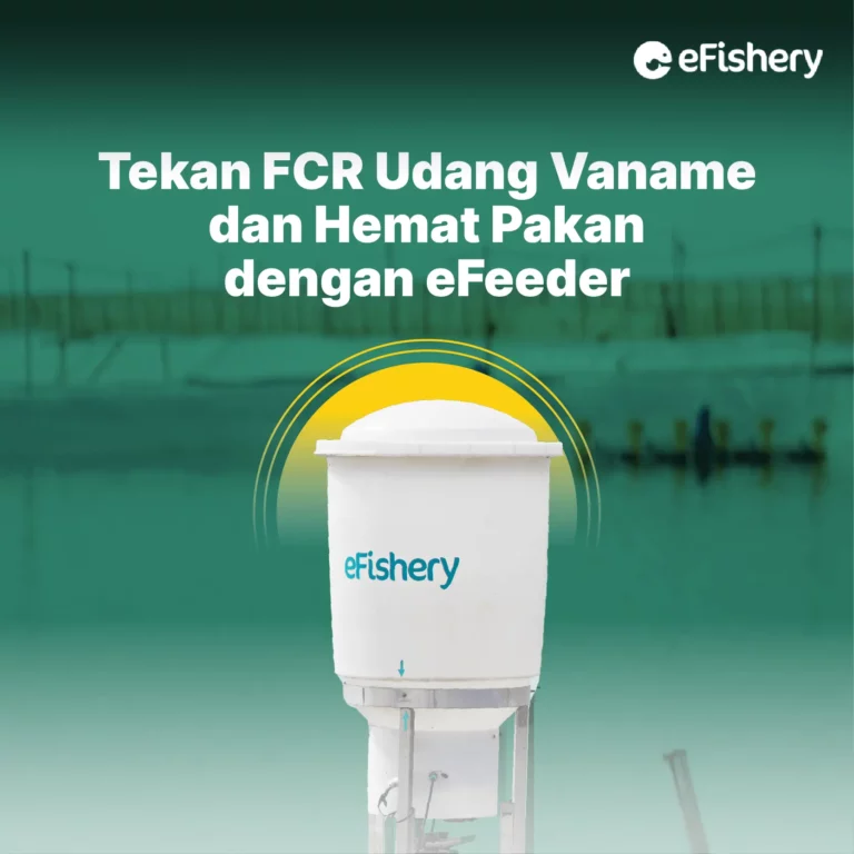 tekan fcr udang vaname dan hemat pakan dengan efeeder