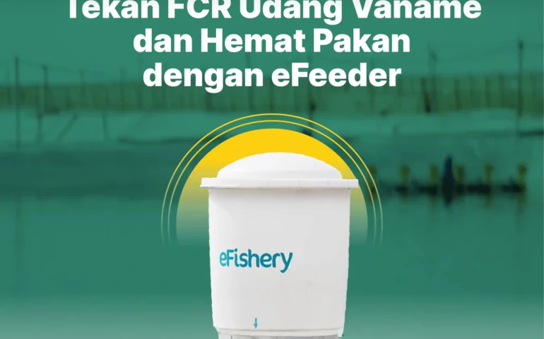 tekan fcr udang vaname dan hemat pakan dengan efeeder