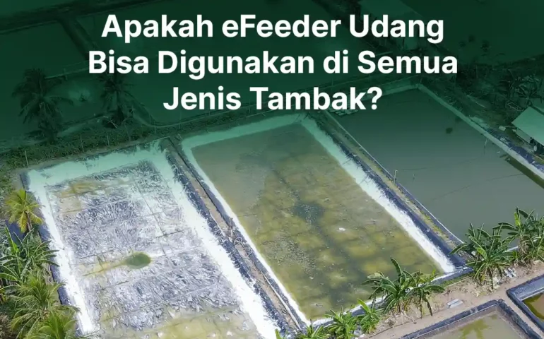 apakah efeeder udang bisa digunakan di semua tambak