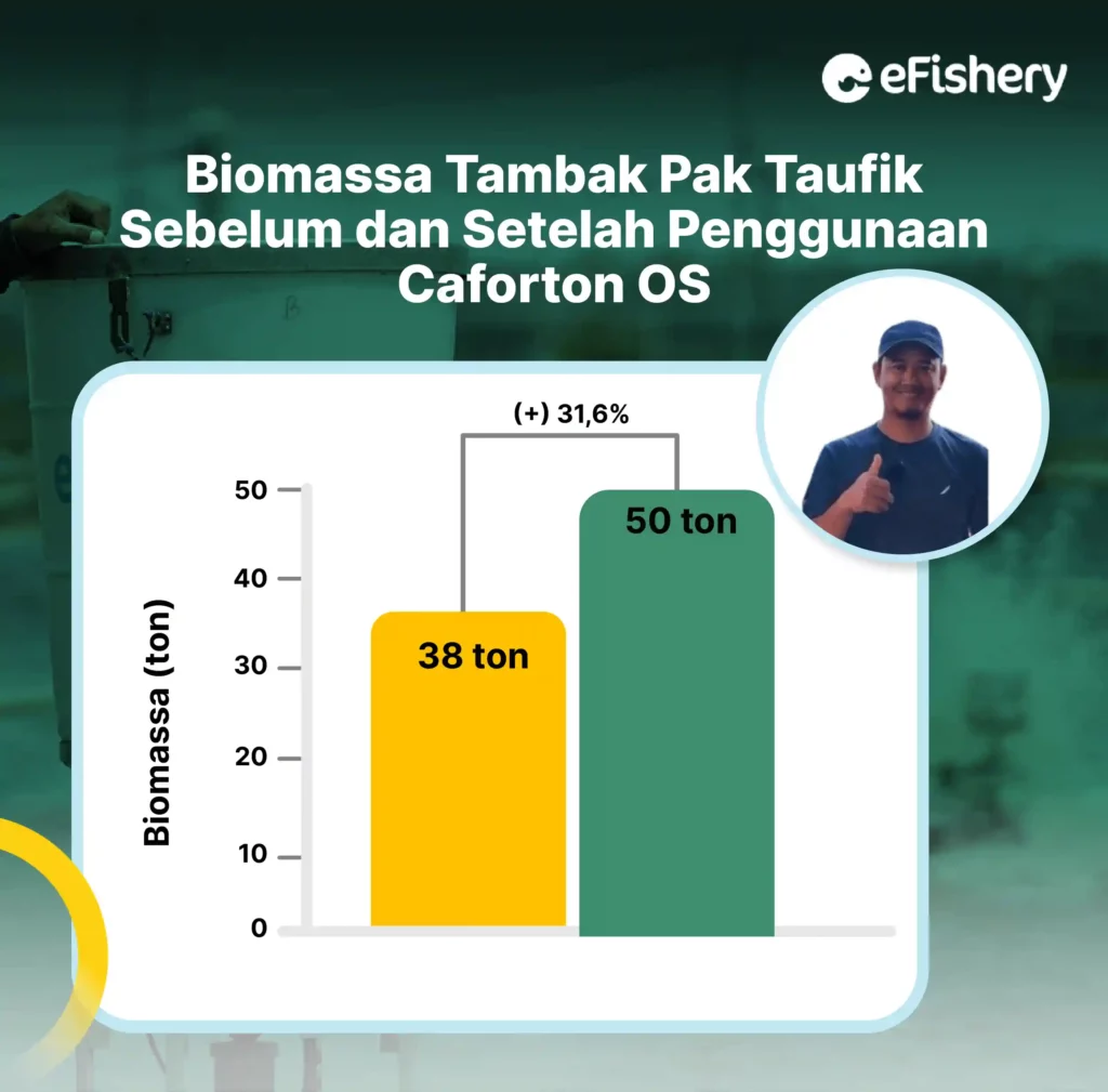 biomassa petambak udang taufik sebelum dan setelah penggunaan caforton os