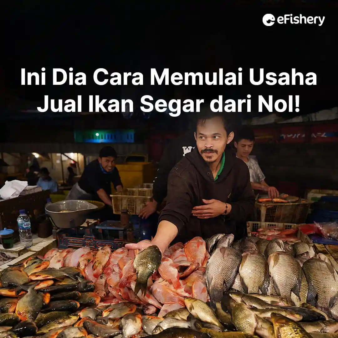 cara memulai usaha jual ikan segar