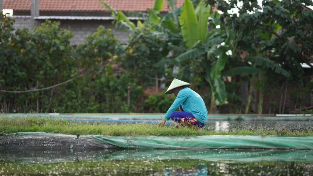 cara mendapatkan kualitas air yang baik