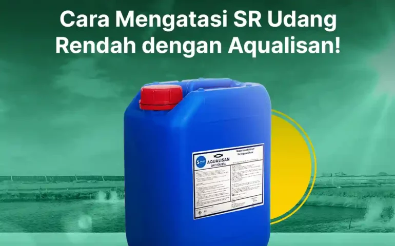 cara mengatasi sr udang rendah dengan aqualisan