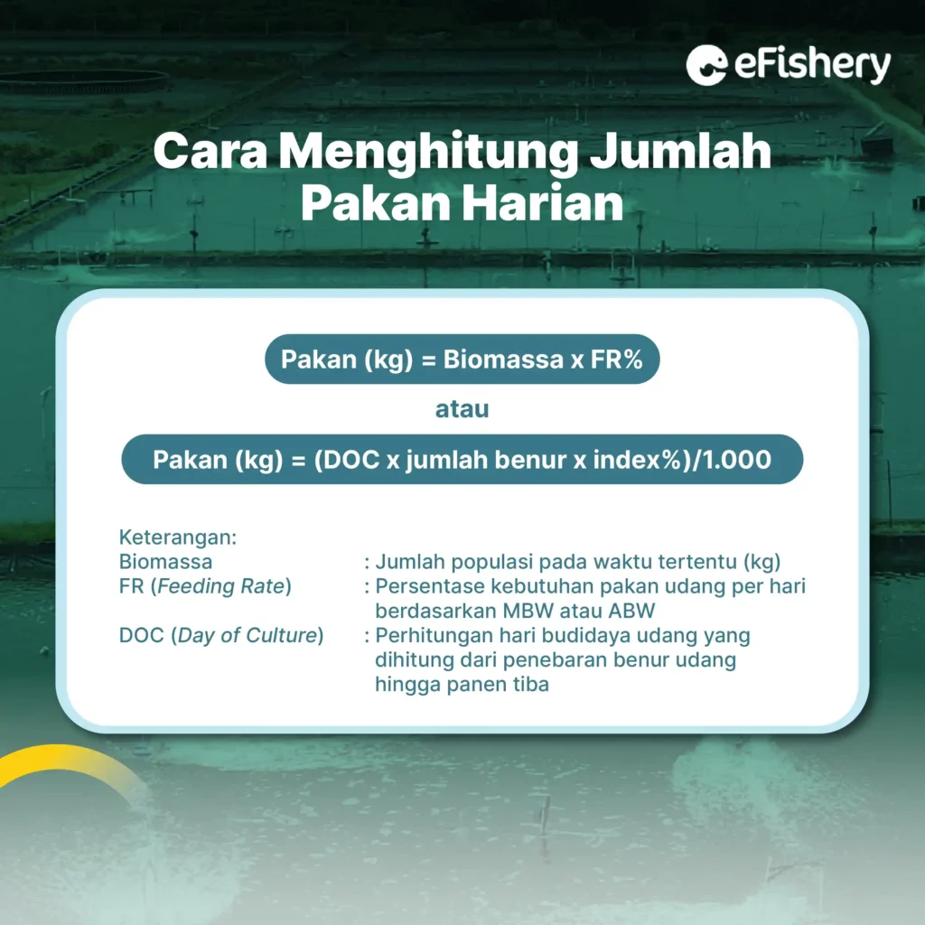 cara menghitung jumlah pakan harian