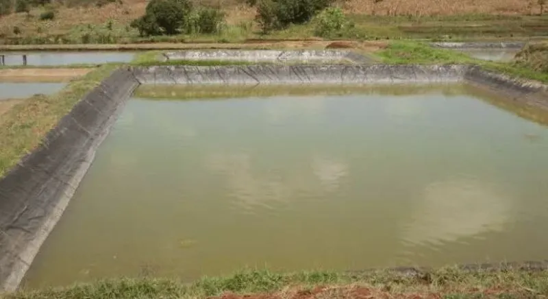 cara merawat kolam ikan