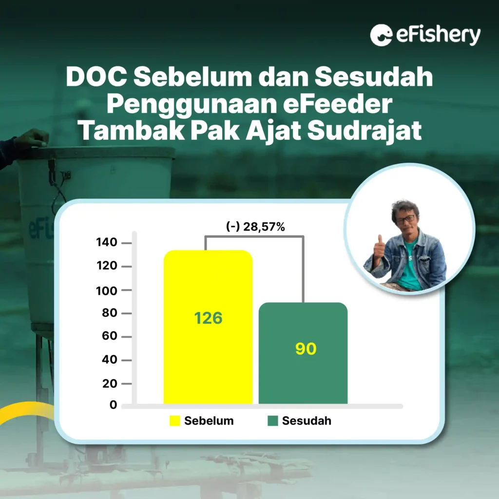 doc sebelum dan sesudah penggunaan efeeder tambak pak ajat sudrajat