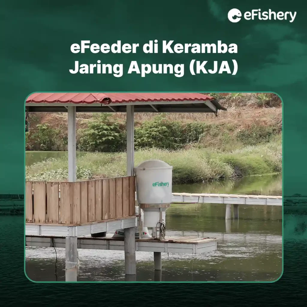 efeeder di keramba jaring apung