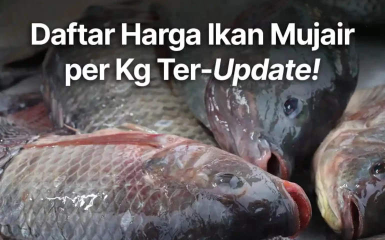 harga ikan mujair per kg