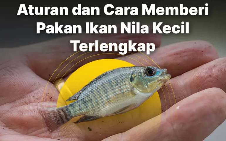 ikan nila kecil