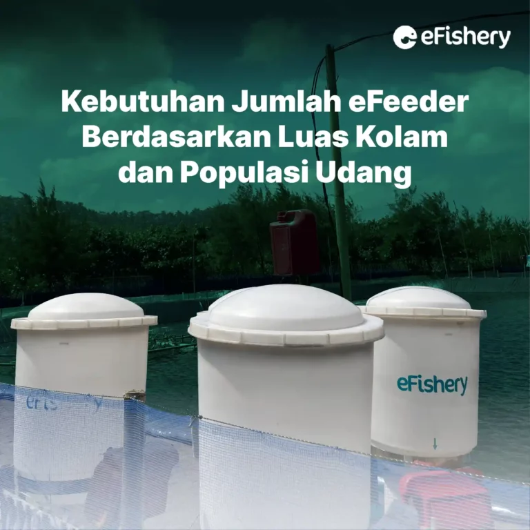 kebutuhan jumlah efeeder berdasarkan luas kolam dan populasi udang