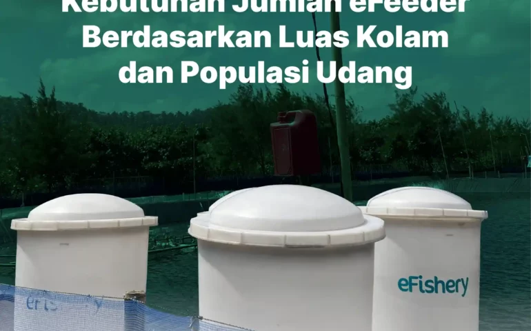 kebutuhan jumlah efeeder berdasarkan luas kolam dan populasi udang