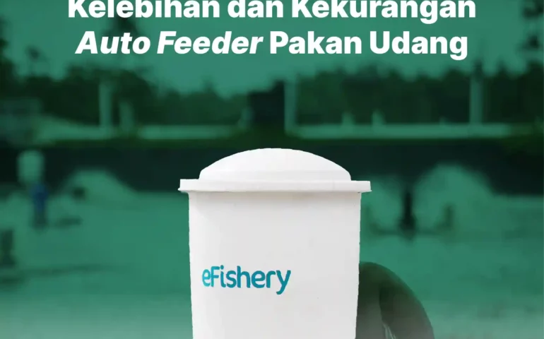 kelebihan dan kekurangan auto feeder pakan udang