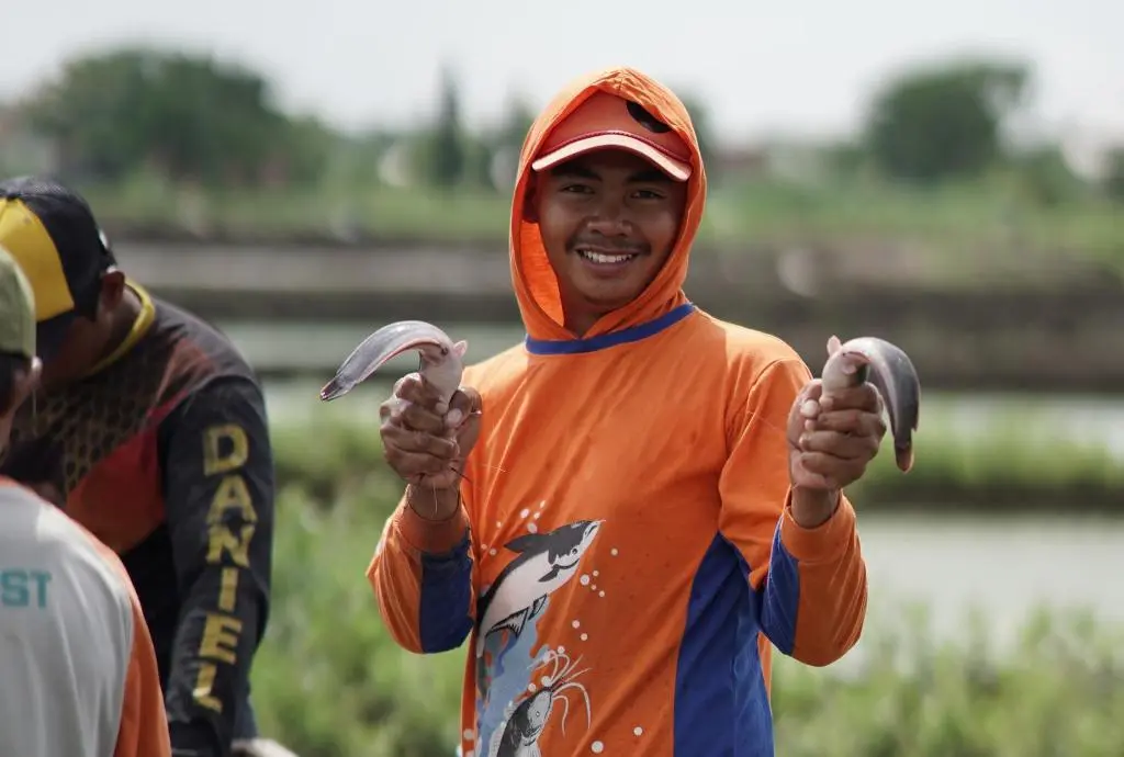 peluang usaha perikanan yang menjanjikan