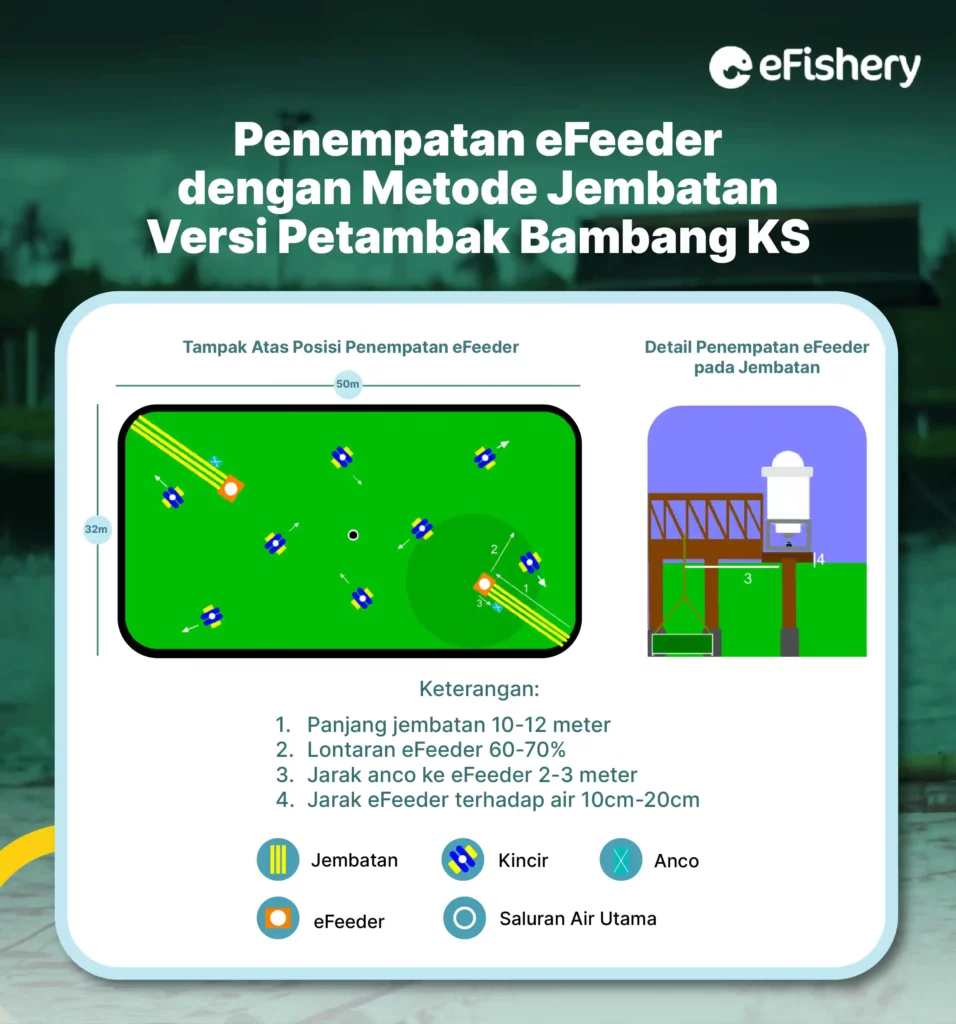 penempatan efeeder metode jembatan bambang