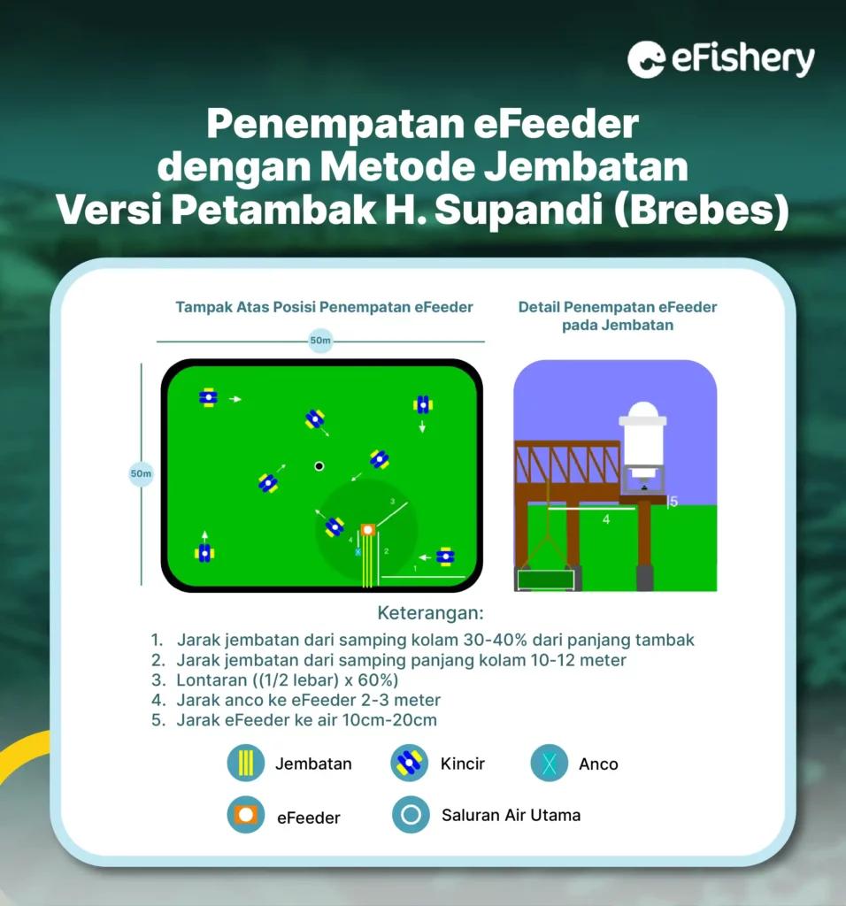 penempatan efeeder metode jembatan supandi brebes