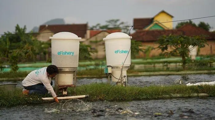 prospek bisnis di industri perikanan