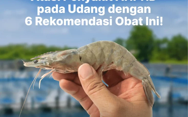 rekomendasi obat ahpnd pada udang