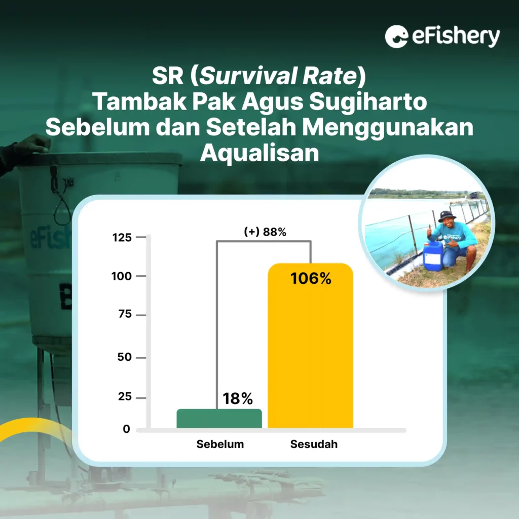 sr (survival rate) tambak udang pak agus sugiharto sebelum dan setelah menggunakan aqualisan