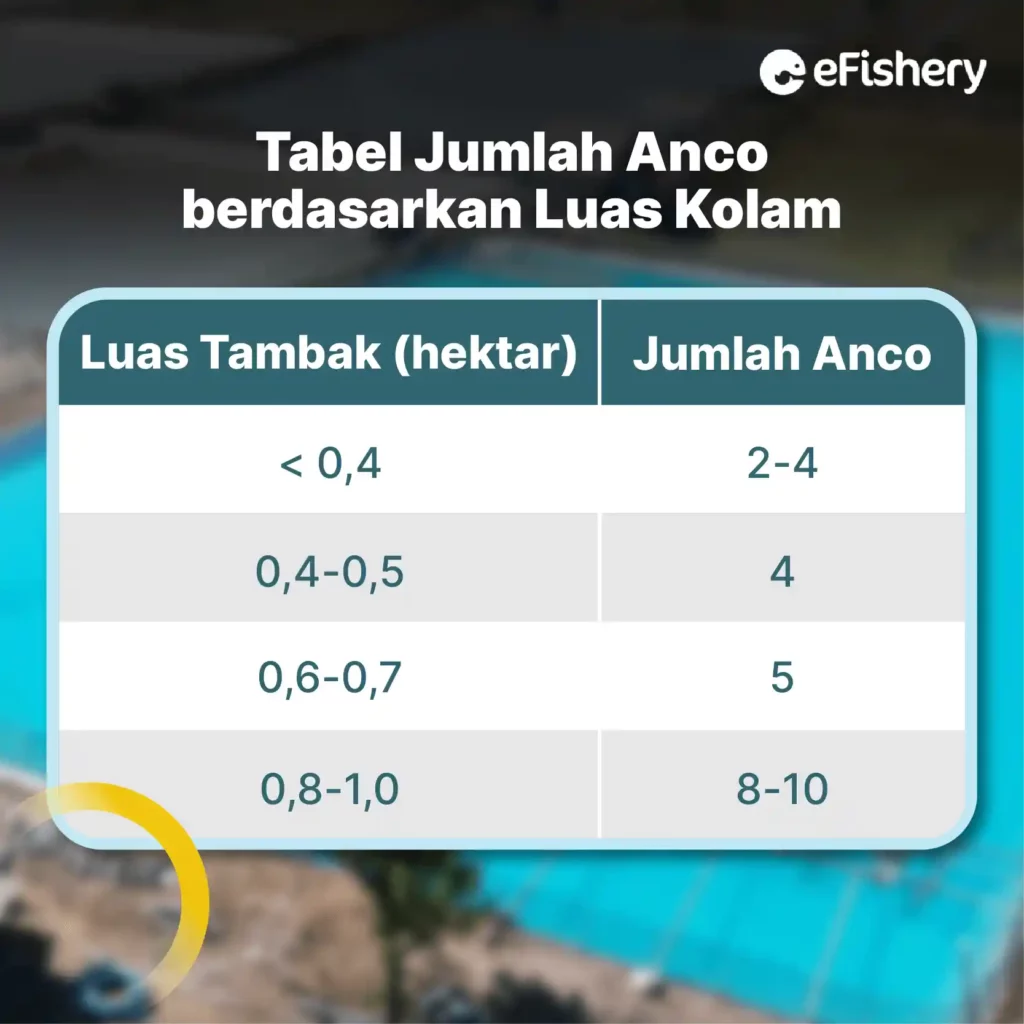 tabel jumlah anco berdasarkan luas kolam