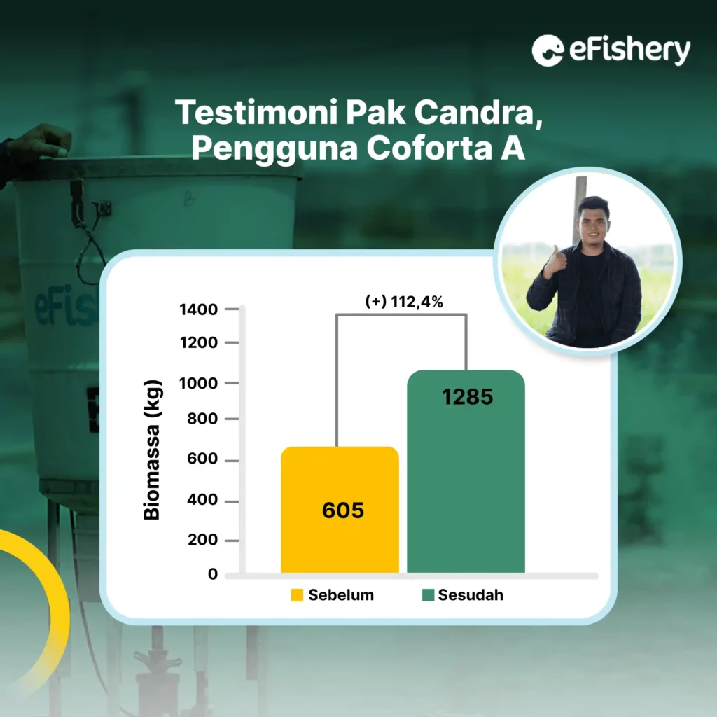 testimoni petambak udang candra pengguna coforta a