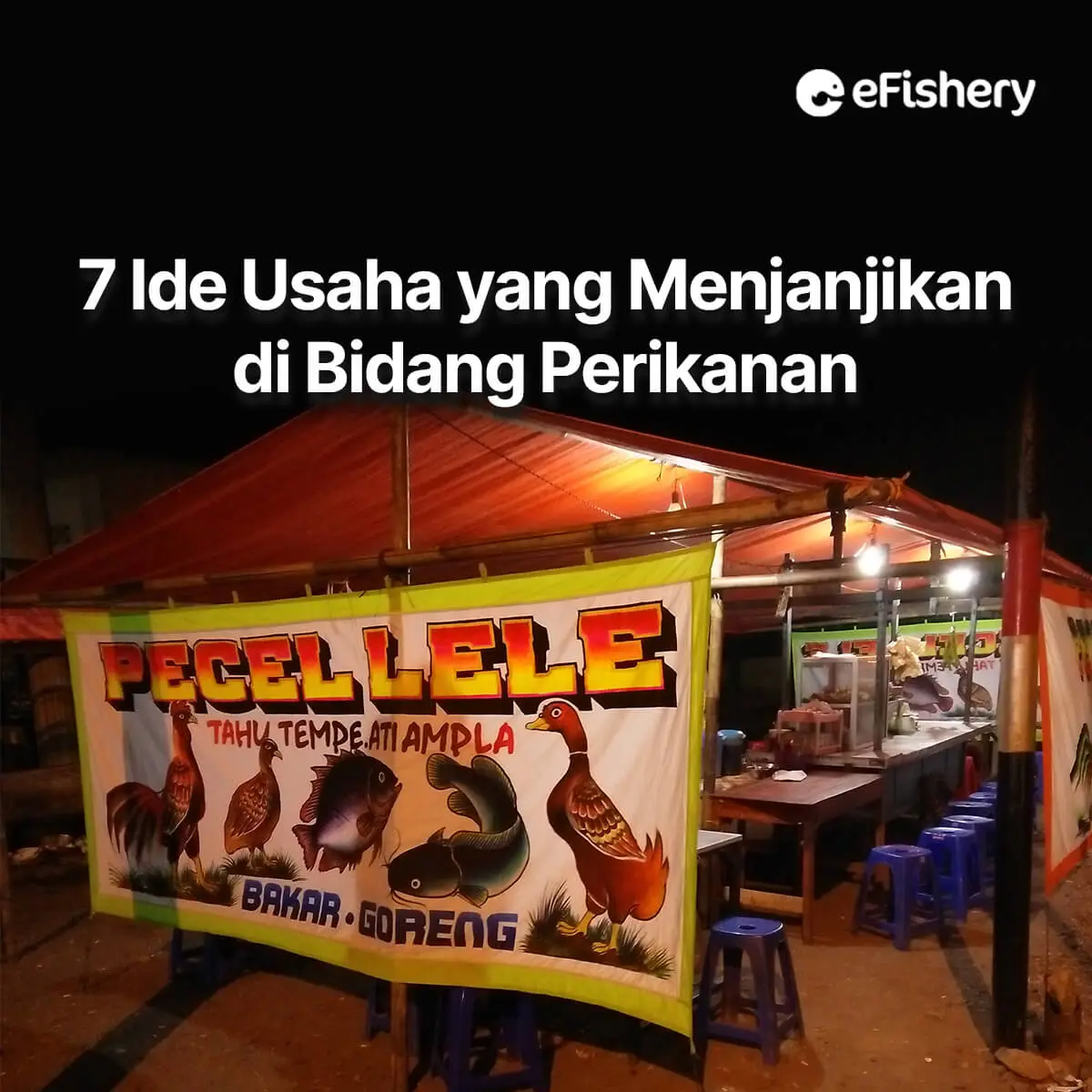 usaha yang menjanjikan