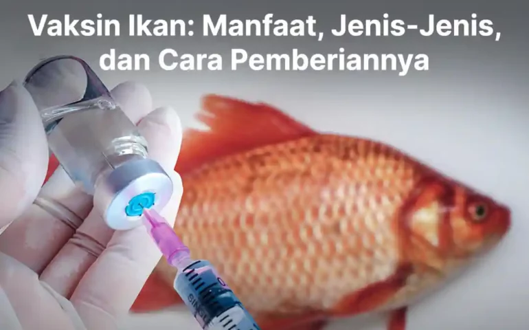 vaksin ikan