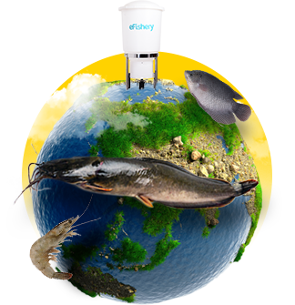 icon efishery feeding the world