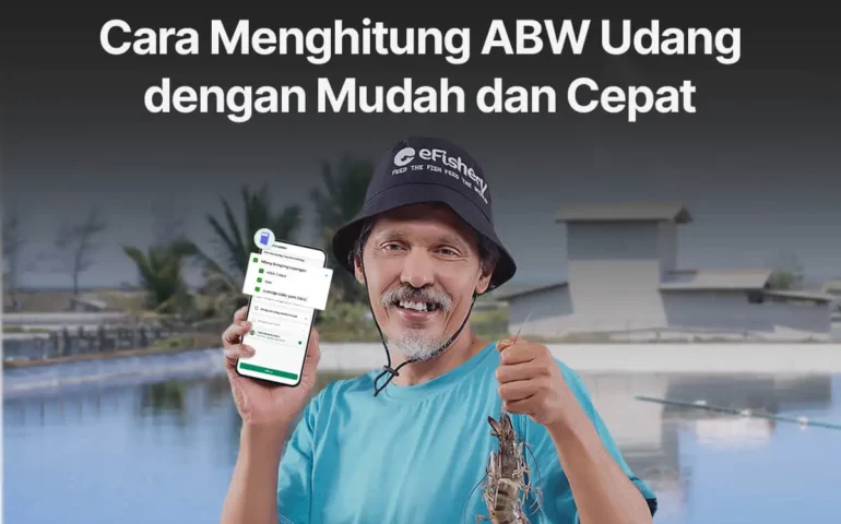 cara menghitung mbw udang