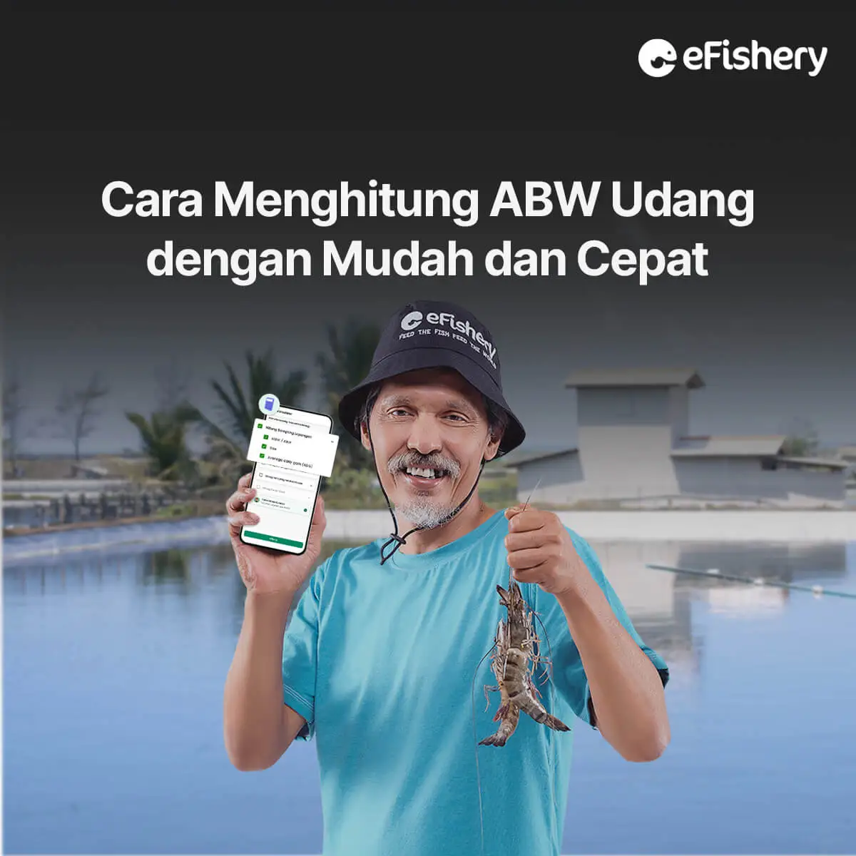 cara menghitung mbw udang