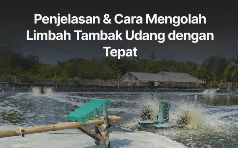 cara mengolah limbah tambak udang dengan tepat