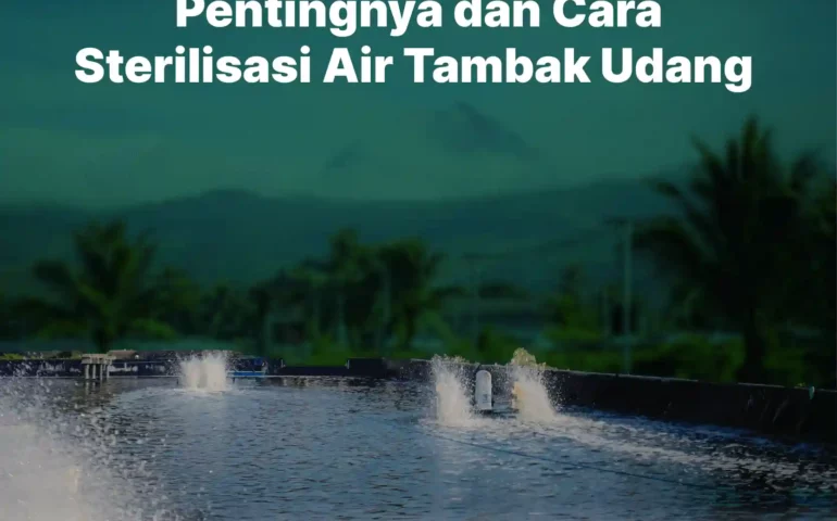 cara sterilisasi air tambak udang