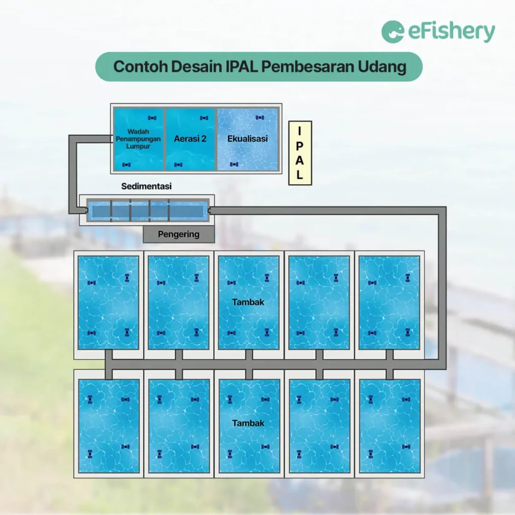 contoh desain ipal pembesaran udang