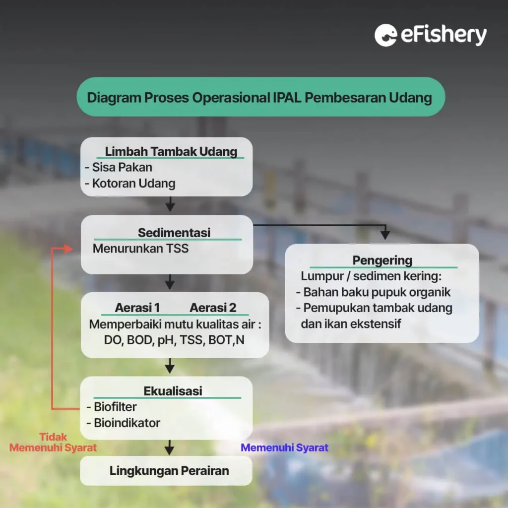 diagram proses operasional pembesaran udang