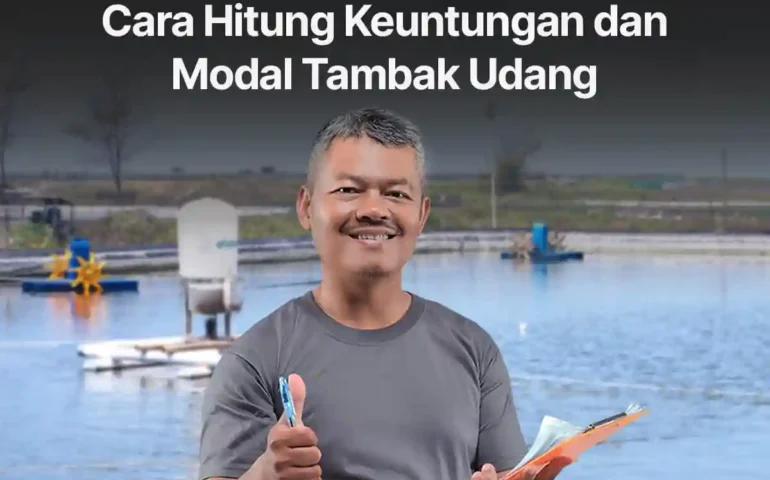 cara hitung keuntungan dan modal tambak udang