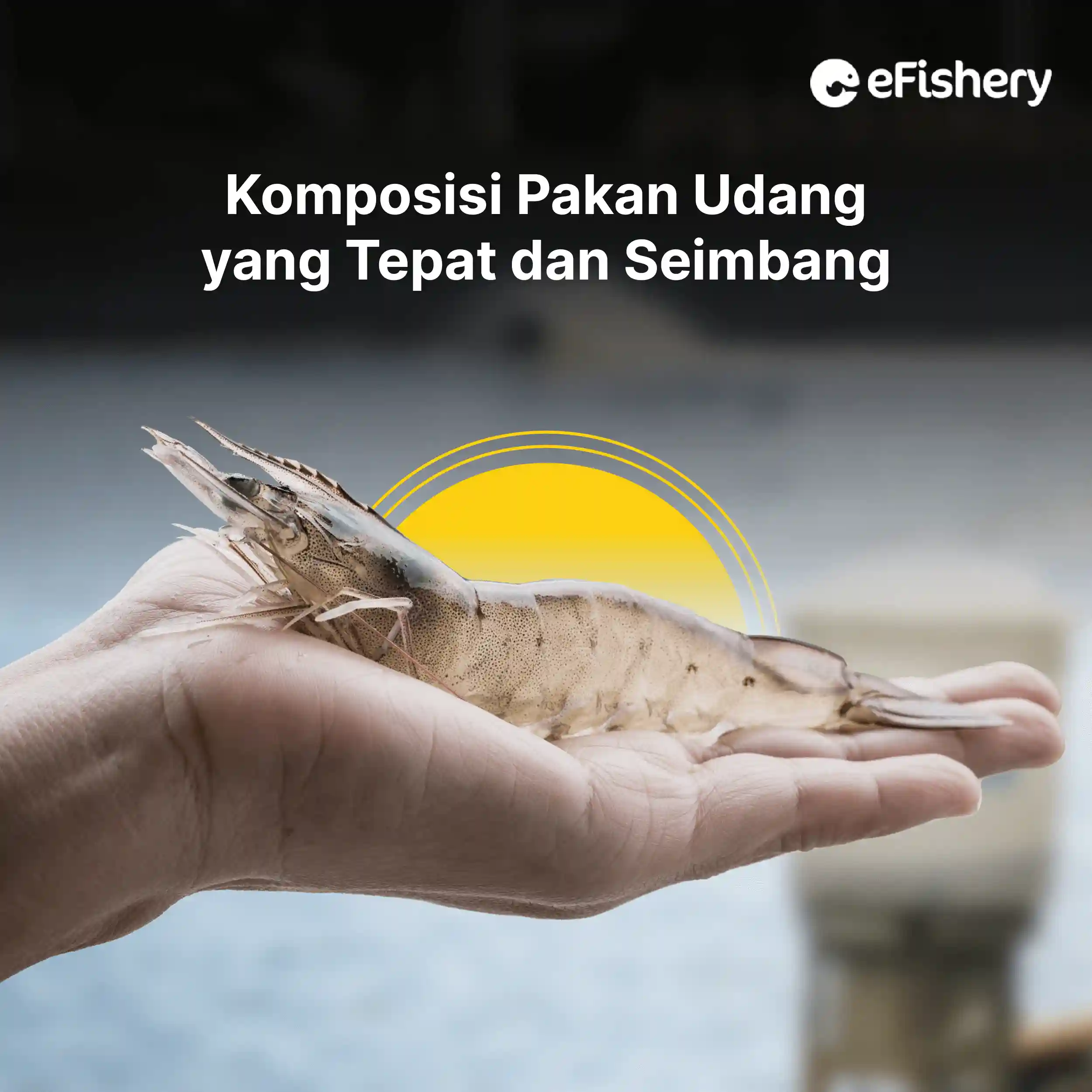 komposisi pakan udang